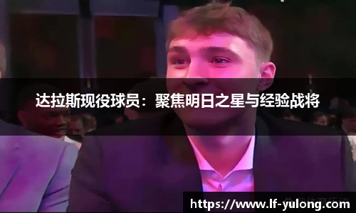 达拉斯现役球员：聚焦明日之星与经验战将