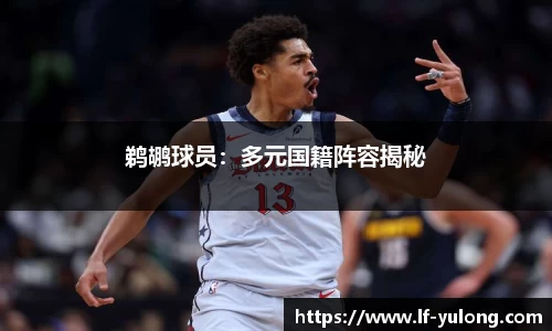 鹈鹕球员：多元国籍阵容揭秘