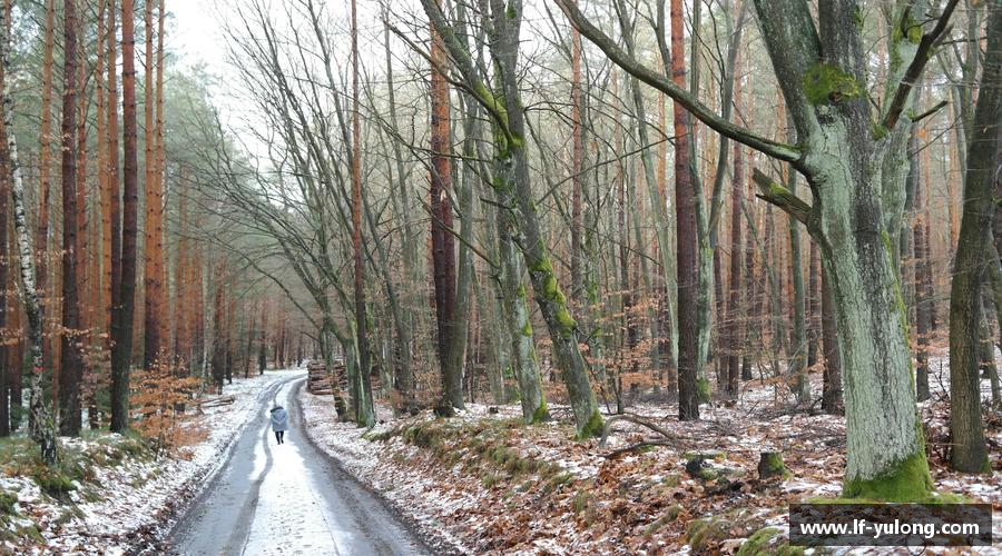 星空综合中国官方网站运动无止境，成就无限